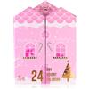 Accentra Winter Beauty 24 Day Advent Calendar