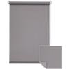 VICTORIA M. Tenda oscurante per finestre, sistema di fissaggio a clip senza fori, 50x150 cm, grigio, modello VICTORIA M