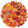 YUSHWENPTY 60 Pezzi Adesivi Foglia d'Acero Adesivo a Forma di Foglia Sticker Autunno | Sticker di Ringraziamento Adesivi Trasparenti Scrapbooking per DIY Buste, Calendari, Journaling, Regali