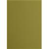 Vaessen Creative Cartoncino Florence Liscia - Materiali per Biglietti colorati A4 - Acacia - 10 Fogli - Carta per Scrapbooking, Biglietti, Fustellatura e Progetti con Carta - 216 gsm - Verde
