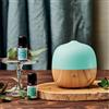 Hp Italia Nasoterapia Diffusore Ultrasuoni Berry Zenzero: profumazione naturale e design che arreda