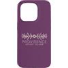 Rhode Island Aesthetic Custodia per iPhone 15 Pro Providence Rhode Island Boemia - Providence RI
