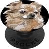 Raf THE ARTIST Designs Chihuahua capelli lunghi Chihuahua Chihuahua Chiwawa a pelo lungo PopSockets PopGrip Adesivo