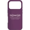 Rhode Island Aesthetic Custodia per iPhone 17 Pro Providence Rhode Island Boemia - Providence RI