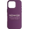Rhode Island Aesthetic Custodia per iPhone 16 Pro Providence Rhode Island Boemia - Providence RI