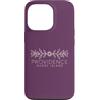 Rhode Island Aesthetic Custodia per iPhone 13 Pro Providence Rhode Island Boemia - Providence RI