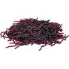 Generico Verme da Pesca 100 Pezzi Esche Artificiali Aroma di Gamberetto | Esche Morbide Realistiche da Pesca 3,5 cm Per Salmone Bass Trota Pesce Gatto Lago Torrente All'Aperto Acqua Salata Stagno