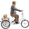 LOYEMAADE Triciclo per adulti, regolabile a 3 ruote, per anziani, con carrello, in acciaio al carbonio, per adulti, per shopping, picnic