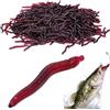 Generico Lombrichi da Pesca 100 Pezzi Lombrichi Rossi Gusto Gamberetto | Esche Morbide Realistiche da Pesca 3,5 cm Per Salmone Bass Trota Pesce Gatto Lago Torrente All'Aperto Acqua Salata Stagno