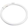 Philips Lampada fluorescente rotonda di marca con base 2GX13, variante: 22 W, Ø 220 mm, 3000 K, 1800 lm