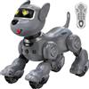 anysun Cane Robot, Giocattolo Cane Robot Ricaricabile per Bambini | Programmabile, Funzione di Seguito, Comandi Vocali in Inglese, Telecomando e Sensori Tattili, Regalo di Natale Ideale