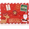 Accentra Hello Winter Advent Calendar