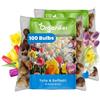 Organifer 100 Miscela Di Bulbi Di Tulipano E Narciso | 8 Varietà - Xxl 12/14cm - Promuove La Biodiversità - Fioritura Duratura - Aspetto Lussuoso - Organifer