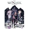Dark Horse Books The Witcher Volume 11: Blood Stone