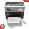 'ESEN SKV' ESEN SKV 31SKV294 Radiatore dell'olio per olio motore per VW PASSAT Variant (3B6) PASSAT (3B3) per AUDI A4 Avant (8ED, B7) A4 Avant (8E5, B6) A6 Avant (4B5, C5)