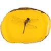 Alasum Ciondolo in Ambra Artificiale Insetto 1 Pezzo Giallo Elegante | Resina e Ambroid, Aspetto Pietra Ambra Naturale, Forma Unica, per Amici e Amanti della Natura