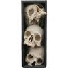 Virelynx Inserto per libreria in stile gotico - Design a 3 livelli con teschi impilati, scultura di scheletro a tema horror stampata in 3D per esposizione domestica