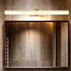 TZSMUM LED Bagno Luce da Parete 180° Regolabile Lampada da Parete Specchio Bagno 3000K/4000K/6000K Applique da Parete Interne Creativo Camera da Letto Comodino Scale Corrid (Oro Luce Neutra,40cm)