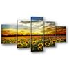 Visario Quadro su tela 5 pezzi XXL 160x80 cm 5535 - Campo di girasoli al tramonto - Luce dorata della sera sul campo - Set di quadri già montati su telaio in legno