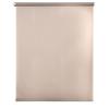 Estores Collection Tenda a rullo Translucent Pietra 80 x 250 cm