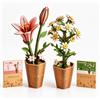 KutaKuta 2 Pezzi Puzzle 3D Legno, Giglio & Camomilla Fiori di Legno | Puzzle Legno e Puzzles Legnos Adulti, Kit Fai da Te per Decorazione Casa, Regalo Creativo per Natale Regalo di compleanno