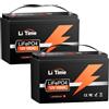 LiTime 2 Pezzi Batteria Litio 12V 100Ah LiFePO4 12 V per Camper, Barche, RV | BMS 100A, Max 15000 Cicli, Energia 2560Wh, IP65, Protezione Basse Temperature, Max 4P4S, per Caravan, Pesca, Yacht, Pick-up
