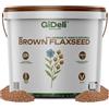 GiDeli Semi di Lino Marroni 10 kg - Ricchi di Proteine e omega-3 | Gusto Delicato di Noce, Poco Zucchero, Ideali per Ricette Vegane, Prodotti da Forno e Müsli