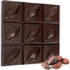 La Fondenteria Tavoletta Fondente 100% con Pasta di Cacao Pura, Senza Zucchero | Cioccolato Artigianale Extra Fondente a Base di Massa di Cacao, Fatto Artigianalmente in Italia (100 g)