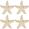SUPERFINDINGS 4 Pin Stella di Mare Pin di risvolto animale marino oceano spilla risvolto stella marina carino elegante in lega decorativa per le donne matrimonio festa spiaggia vestito vestiti vestiti
