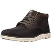 Timberland Bradstreet Sneaker Uomo