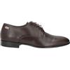 POLLINI - Stringate - Testa di moro
