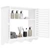 TiryyDrela Armadio da parete Bagno a 2 livelli, mobile pensile bianco | Mobile cosmetico trucco cura pelle gel doccia, mensola WC pannello, risparmio di spazio, 37 x 20 x 40,8 cm