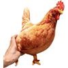 Generisch Peluche a forma di gallina, 40 cm, realistico, morbido, divertente, cuscino | Peluche a forma di pollo, per bambini, adulti, amici, camera dei bambini, tavoli, casa, scuola, ufficio