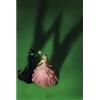 GB eye - WICKED Poster Teaser (91,5 x 61 cm)