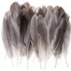 PATIKIL 4-7 Piume D'Oca Naturali All'Ingrosso Per Artigianato, 200 Pezzi Piume Lunghe Di ricchi colori Per Decorazioni DIY Catturasogni, Cappello， Ghirlande, Grigio