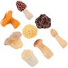 NUOBESTY Set 8 Pezzi Mini Funghi Artificiali in Resina Decorazioni Fai da Te per Casa e Camera da Letto Statuette Realistiche per Arredamento e Progetti Artigianali