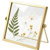 UieaMsio Cornice portafoto in vetro e metallo, 15 x 15 cm, in stile retrò dorato, per ufficio e fiori pressati, in vetro, per casa e ufficio, per campioni di piante, fiori secchi