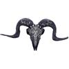Nemesis Now Placca da parete con teschio della venerazione di Baphomet, 53 cm, in resina, da appendere, con teschio di baphomet, decorazione mitica a forma di teschio di capra, fusa in resina di alta