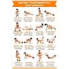 DPURPIWADY Military Calisthenics Training Poster for Women Full Body Workout at Home No Equipment Required Bodyweight Exercise Wall-Art(Unframed,12x18inch(30x45cm))