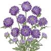 Arborus 5 fiori di crisantemo finti viola, altezza 60 cm, fiori artificiali per vasi da pavimento, stelo lungo, crisantemo in seta finta per artigianato, composizioni floreali, centrotavola