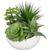 Arborus Piante grasse artificiali, 17 cm, piante artificiali in vaso, piccole piante artificiali in ceramica bianca, vaso decorativo per bagno, soggiorno, decorazione da tavolo, ufficio