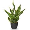 Arborus Piante di canapa artificiale in vaso nero | Piante decorative da interni, 47 cm, come vere, per tavolo, scaffale, davanzale, decorazione per soggiorno, sciarpa, bagno