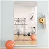 Hasipu Specchio da palestra casa, 180 x 80 cm, Grande Specchio a corpo intero per Yoga, Specchi da parete per fitness, garage, studi di danza, vetro temperato