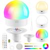 VIIIVA Lampadina ricaricabile con base magnetica rimovibile, batteria E27 da 2000 mAh, con telecomando, 12 colori RGB + 3 temperature di colore, per campeggio, feste in giardino, decorazione per la