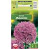 AGRONOM Tested in the garden AGRONOM | Aglio ornamentale - AFLATUNENSE | Fiori Viola | Fioriscono a lungo e non richiedono cure particolari | Bulbi Decorativi | Confezione con 2 bulbo