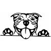 Bhysfenhgttvv 3 Pezzi Adesivo per Auto 15,7 x 8,2 cm Zampe su Pitbull Cane Decalcomania in Vinile Adesivo per Auto Decor Nero