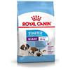 *Royal Canin Rc Giant Starter 30 M&B 15Kg Minsan 921504508