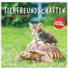 Neumann Verlage GmbH & Co Amicizie con gli animali 2027: calendario da parete 30x30 cm (30x60 cm aperto) con calendario di note, 12 foto di animali e poster extra: Wandkalender ... 12 Tierfotos und Extra Poster