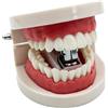 Generic Novità Denture Stapler - Mini portatile Prank Desk Stapling Tool | Materiale plastico e metallo, design divertente a forma di protesi, portatile, funzione di pinzatura portatile