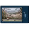 hansepuzzle 15878 - Puzzle con fiori di ciliegio in Giappone, 1000 pezzi, natura, 60,0 x 46,0 cm con custodia di alta qualità, scatola di cartone e sacchetto